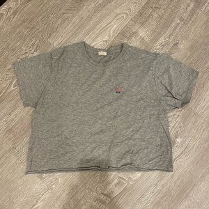 Brandy melville americana embroidery top